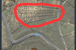 Terreno Agricolo Montelibretti