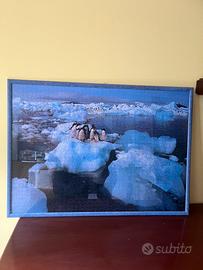 Puzzle Ravensburger 1500 pezzi incorniciato