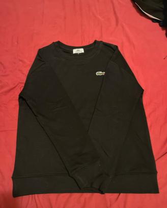 felpa lacoste