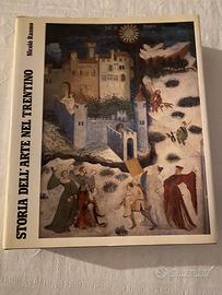 Libro Storia dell’arte nel Trentino -Rasmo