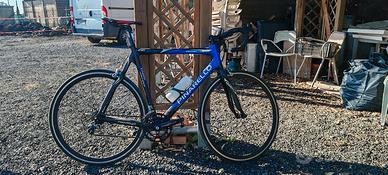 bici da corsa Pinarello 