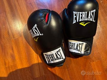 Guanti da Boxe Everlast