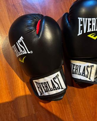 Guanti da Boxe Everlast