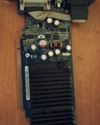 scheda video ASUS NVIDIA GeForce 6200 pci express