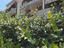 Immagine 29