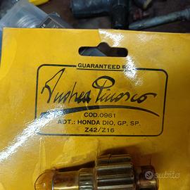 rapporti ZX Dio e vari Pinasco 