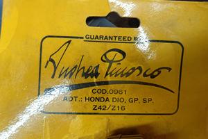 rapporti ZX Dio e vari Pinasco 