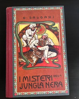 I misteri della jungla nera