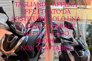 SH 125 non trattabile