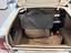 Immagine 15