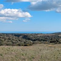 Terreno agricolo di m² 155.850,00