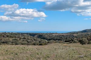 Terreno agricolo di m² 155.850,00