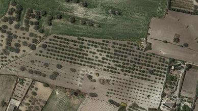 Terreno agricolo mandorleto