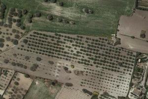 Terreno agricolo mandorleto