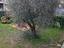 Immagine 9