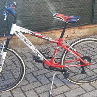 Bicicletta ragazzo diametro totale ruota 60 cm