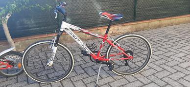 Bicicletta ragazzo diametro totale ruota 60 cm