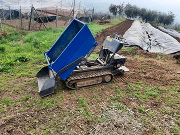 Moto cariola motocarriola