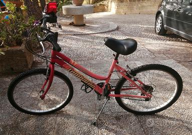 bici ragazza da 24