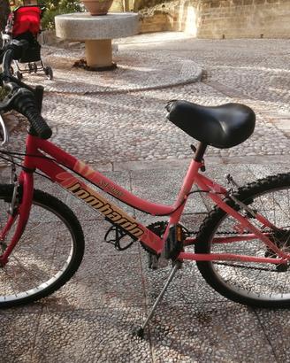 bici ragazza da 24