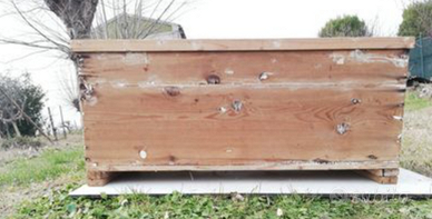 Antico baule da restaurare