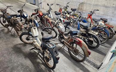 collezione di ciclomotori vintage