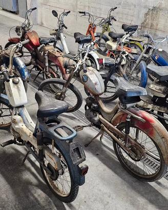 collezione di ciclomotori vintage
