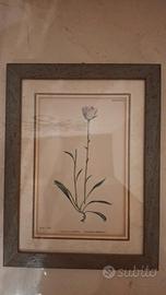 quadro