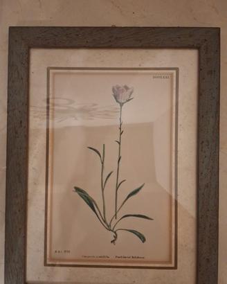 quadro