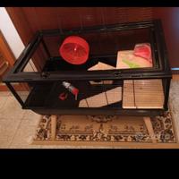 Gabbia zolux criceto