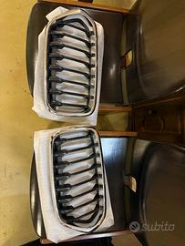 Griglia anteriore BMW X2 F39 2018-2023