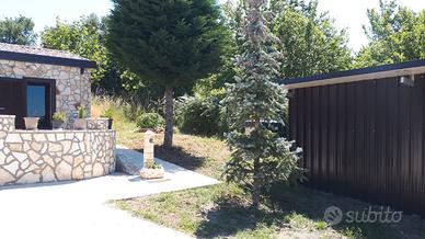 Villetta su duemila metri di terreno