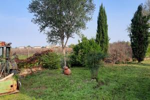 Terreno da sogno