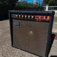 Amplificatore Roland 30 watt