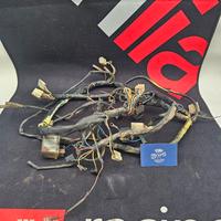 Impianto elettrico Aprilia Rs 125 Extrema 