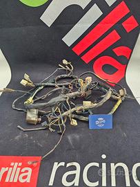 Impianto elettrico Aprilia Rs 125 Extrema 