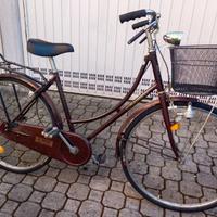 Bicicletta da donna vintage