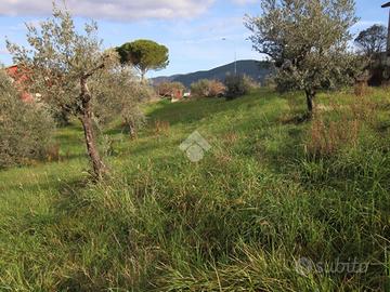 TER. RESIDENZIALE A POGGIO MIRTETO