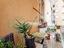 Immagine 20