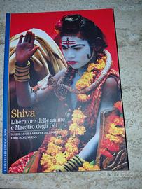 Libro Shiva liberatore delle anime
