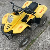 Mini quad elettrico