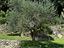 Immagine 14