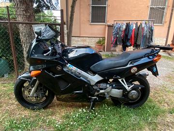 HONDA VFR 800 anno 1999 marciante