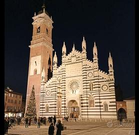 Stanza a Monza due bagni-posto auto libera subito