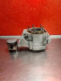 cilindro e pistone rotax 123 aprilia 125 