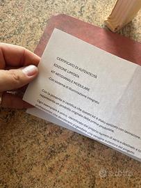 Kit per imbiancatura e verniciatura professionale