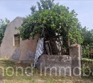 Terreno agricolo-edificabile Fiumefreddo d Sicilia