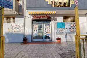 Attività Commerciale
