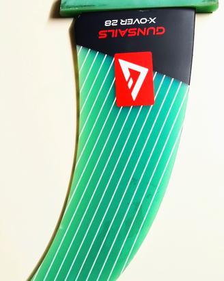 Pinna Windsurf 