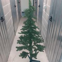 Albero di Natale